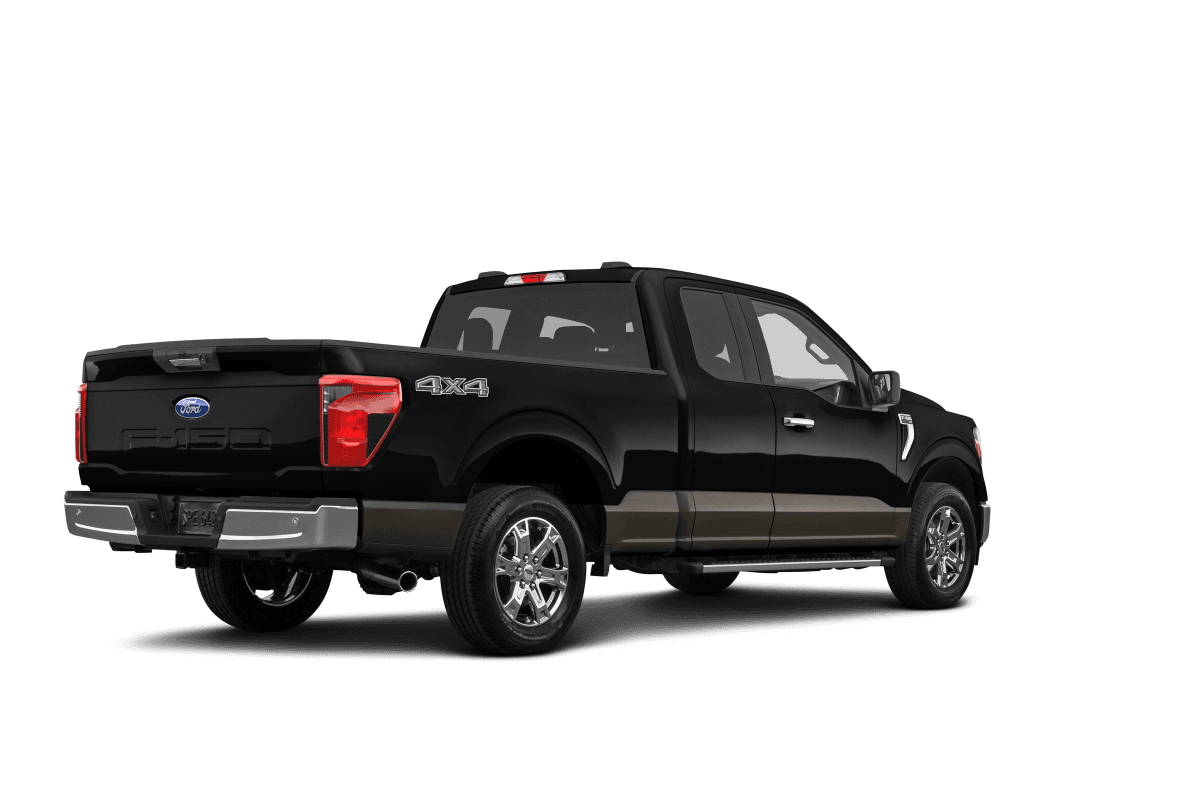 Ford F-150 Agate Black Metallic - Back view Ford F-150 Agate Black Metallic - Back view