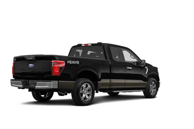 Ford F-150 Agate Black Metallic - Back view Ford F-150 Agate Black Metallic - Back view