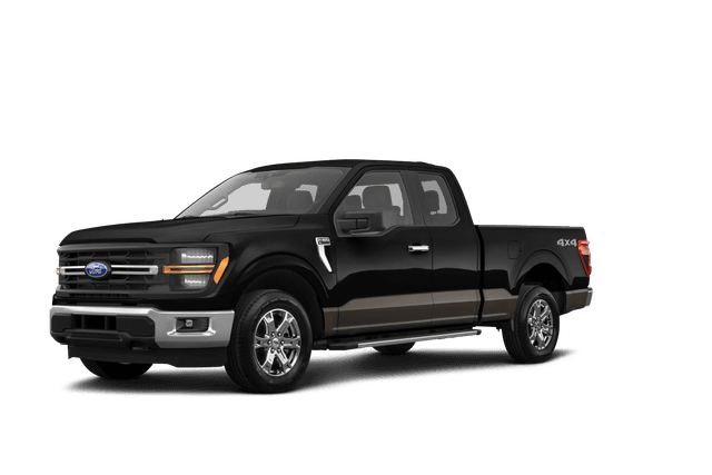 Ford F-150 Agate Black Metallic - Front view Ford F-150 Agate Black Metallic - Front view