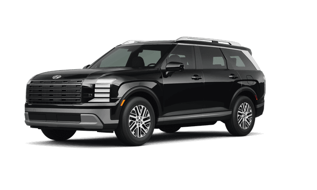 Hyundai Palisade Abyss Black Pearl - Front view Hyundai Palisade Abyss Black Pearl - Front view