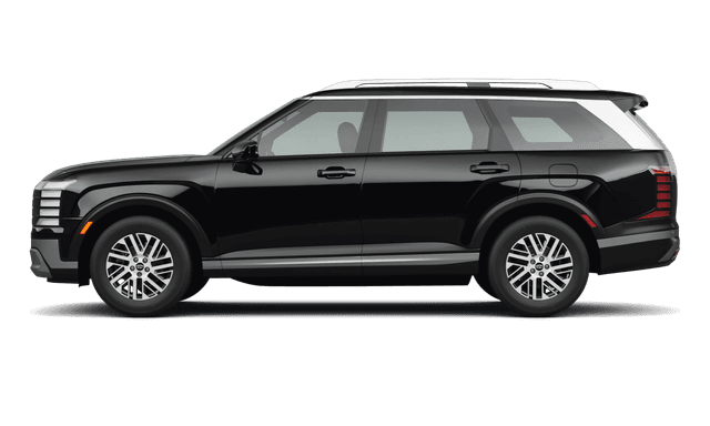 Hyundai Palisade Abyss Black Pearl - Side view Hyundai Palisade Abyss Black Pearl - Side view