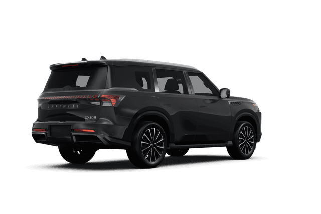 Infiniti QX80 Anthracite Gray - Back view Infiniti QX80 Anthracite Gray - Back view