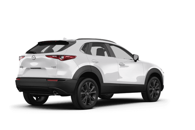 Mazda CX-30 Snowflake White Pearl Mica - Back view Mazda CX-30 Snowflake White Pearl Mica - Back view