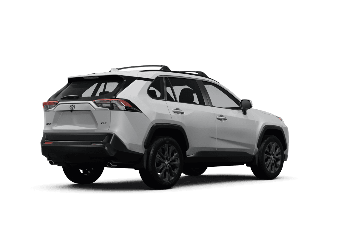 Toyota RAV4 Ice Cap - Back view Toyota RAV4 Ice Cap - Back view