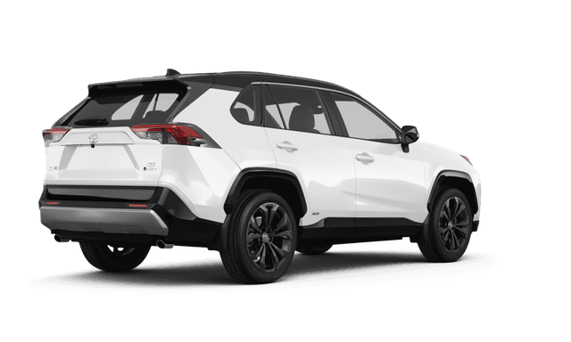 Toyota RAV4 Hybrid Ice Cap - Back view Toyota RAV4 Hybrid Ice Cap - Back view