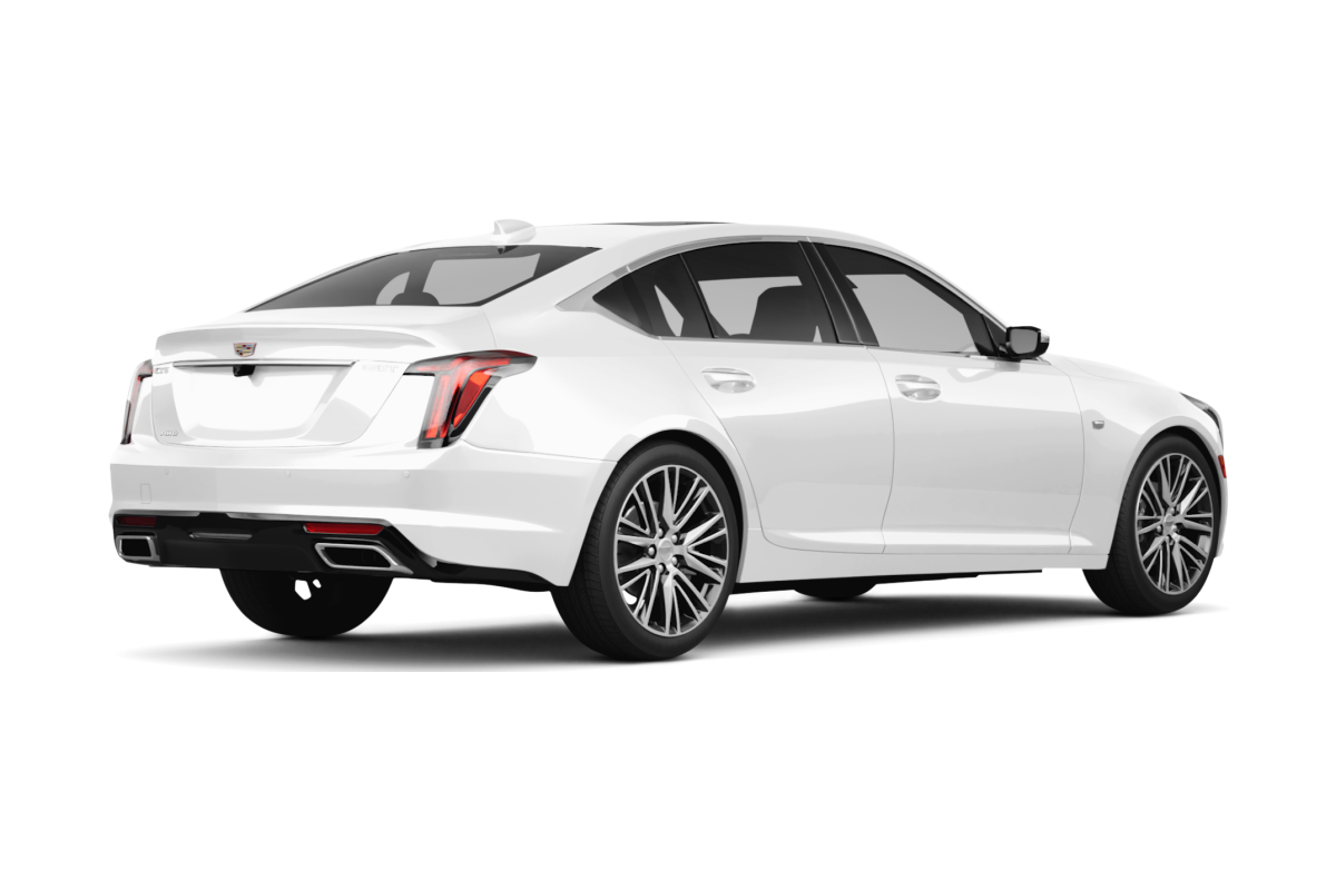 Cadillac CT5 Vibrant White Tricoat - Back view Cadillac CT5 Vibrant White Tricoat - Back view